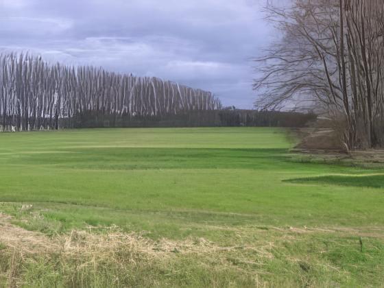 Oberhavel, Verkauf Grundstück, Zehdenick OT Mildenberg — Bauland verkauft