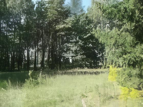 Verkauf Sondergebiet Erholung, Wandlitz OT Klosterfelde, Adamweg — Bauland verkauft