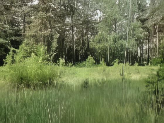 Verkauf eines Baulandgrundstücks, Klosterfelde, Saupfuhlweg (Paradiessiedlung) — Bauland verkauft