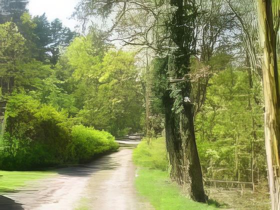 Zukauf von ehemaligem Straßenland zum Grundstück, Zühlsdorf — Bauland verkauft