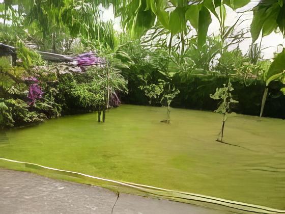 Baulandgrundstück in Bergfelde verkauft — Bauland verkauft