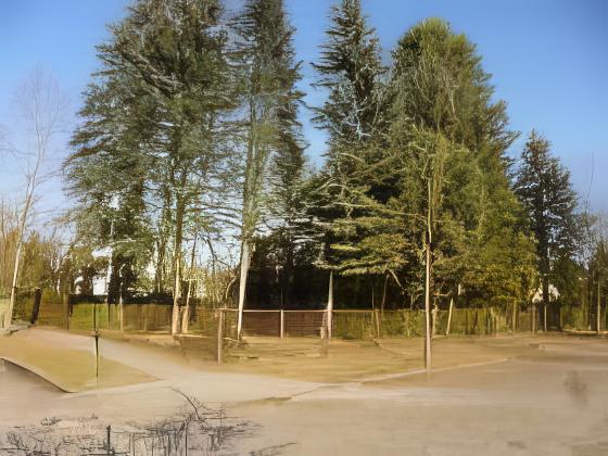 Bauland in Bergfelde verkauft — Bauland verkauft