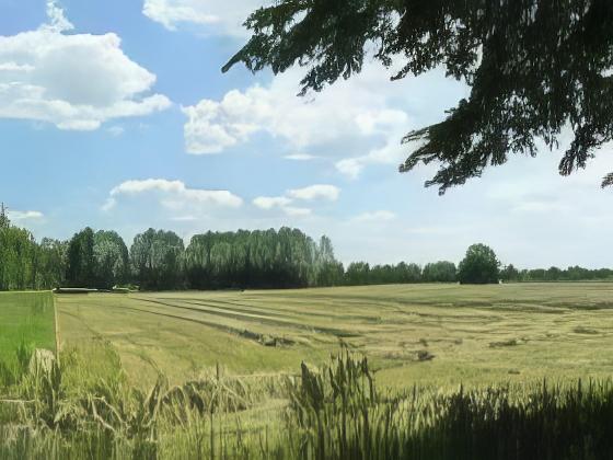 Wald und landwirtschaftl. Flaeche zum Kauf, Zehdenick, OT Kurtschlag, Wesendorf, Vogelsang — Bauland verkauft